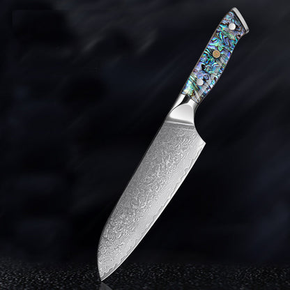 Aonami Damascus Santoku